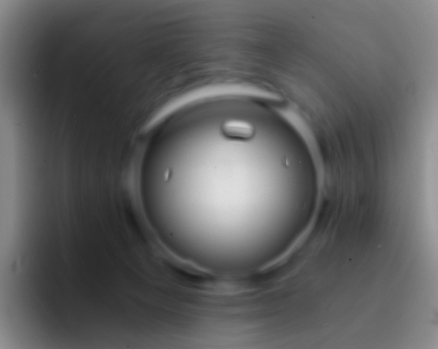X0000092310129200709211256