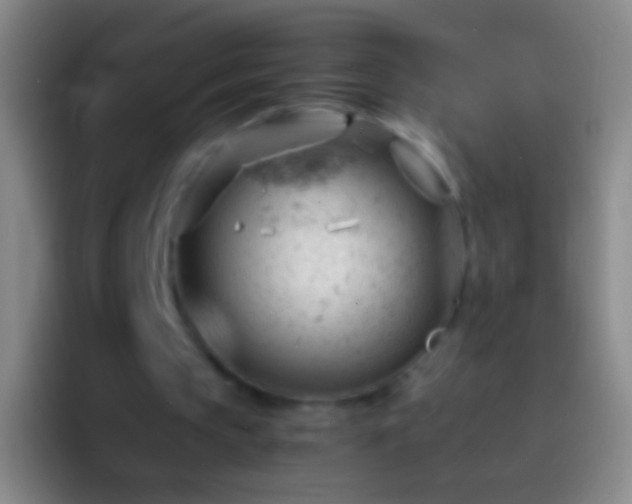X0000092310145200709211255