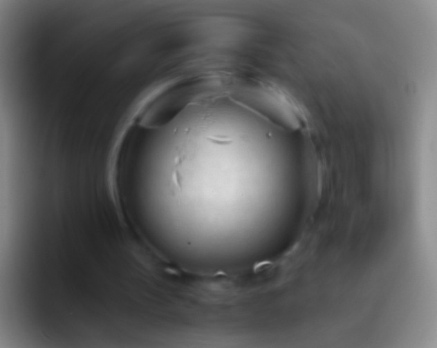 X0000092310147200709211255