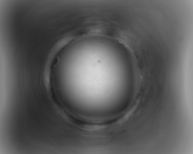 X0000092310149200709211255
