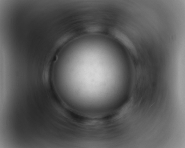 X0000092310155200709211255
