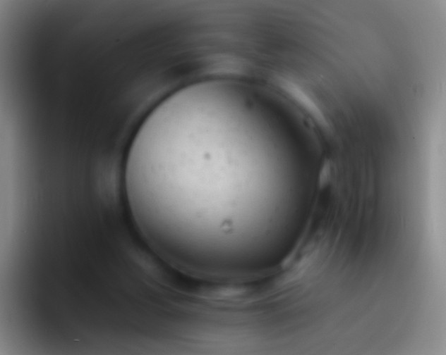 X0000092310156200709211255