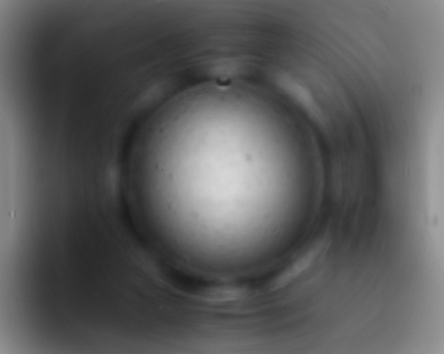 X0000092310161200709211255