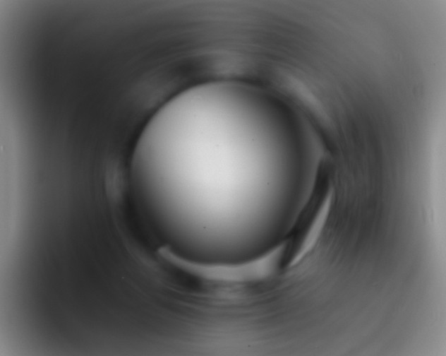 X0000092310164200709211255