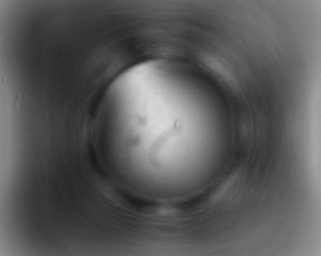 X0000092310165200709211255