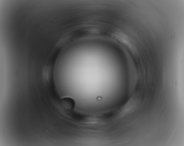 X0000092310167200709211255