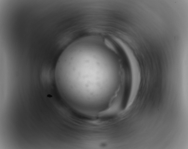 X0000092310168200709211255