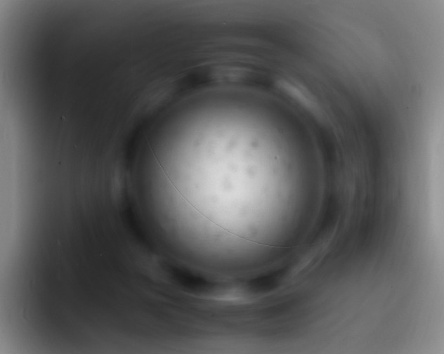 X0000092310169200709211255