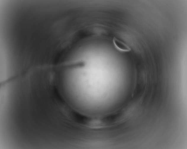 X0000092310177200709211256