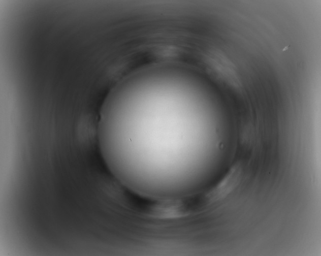 X0000092310179200709211256