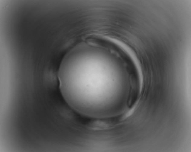 X0000092310180200709211256