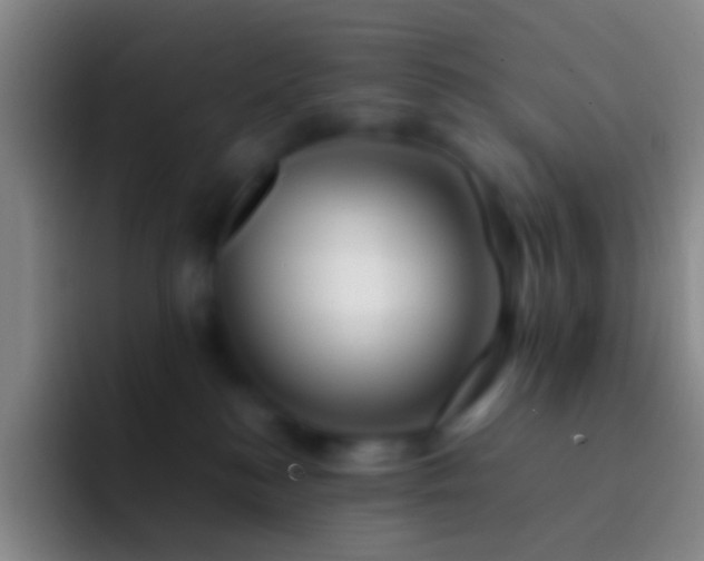 X0000092310184200709211256