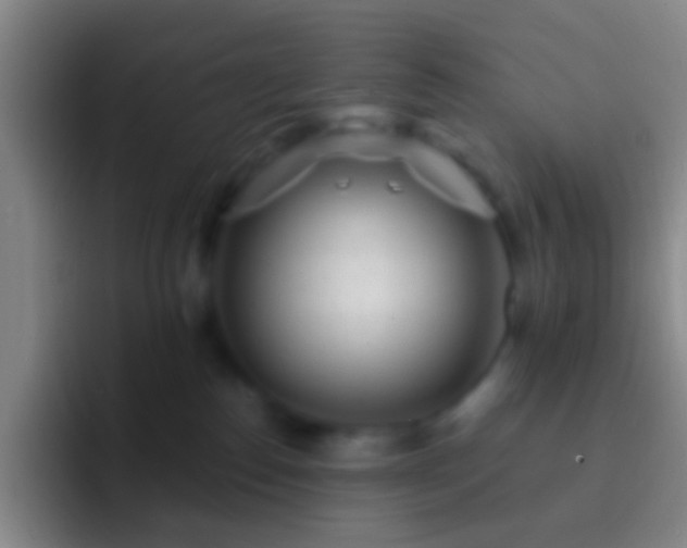 X0000092310186200709211256