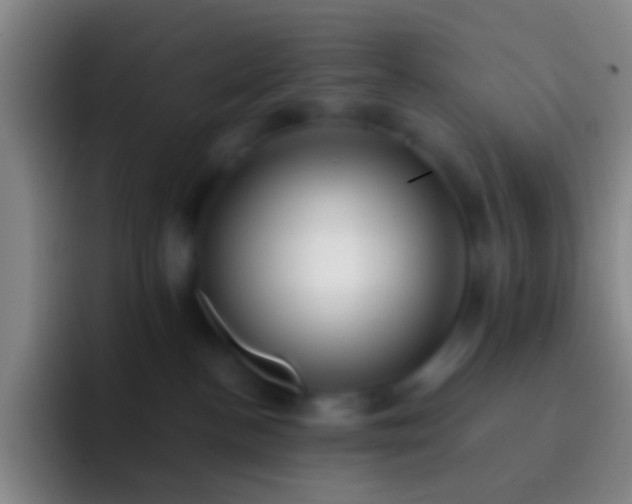 X0000092310188200709211256