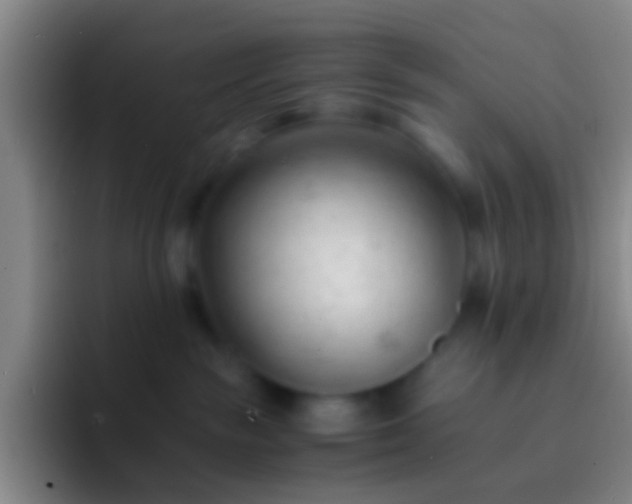 X0000092310189200709211256