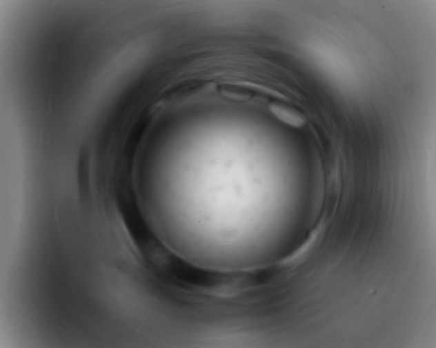 X0000092310191200709211256