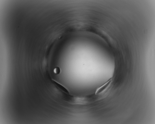 X0000092310192200709211256