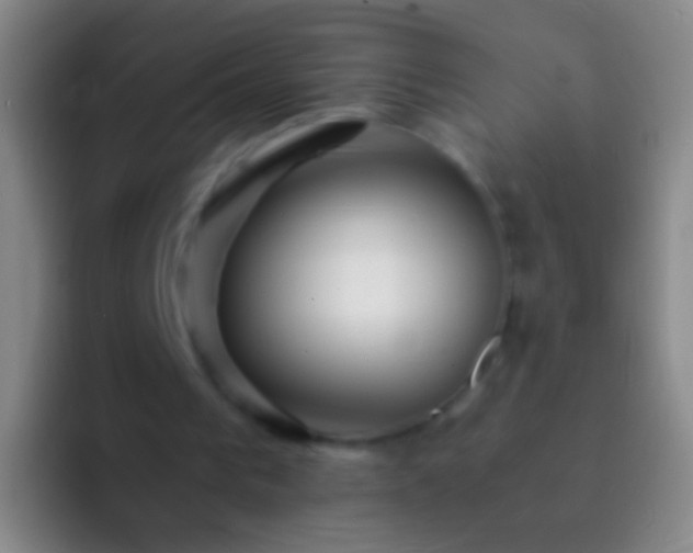 X0000092310193200709211255