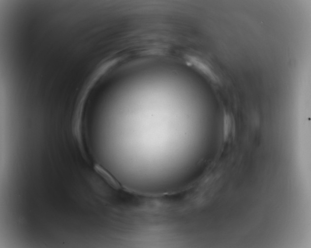 X0000092310195200709211255