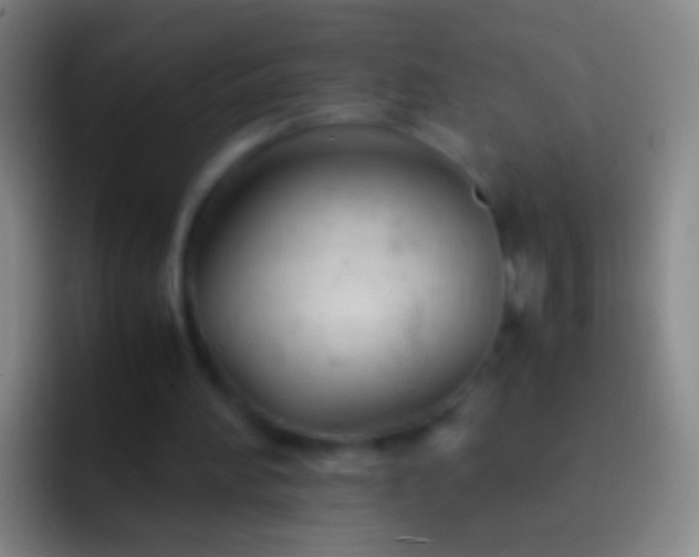 X0000092310196200709211255