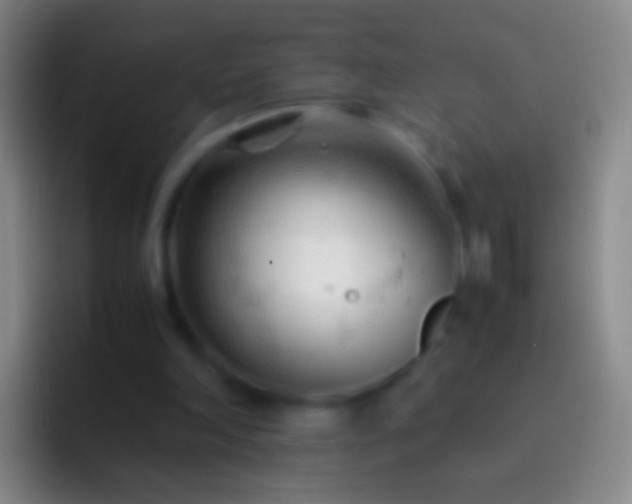 X0000092310198200709211255