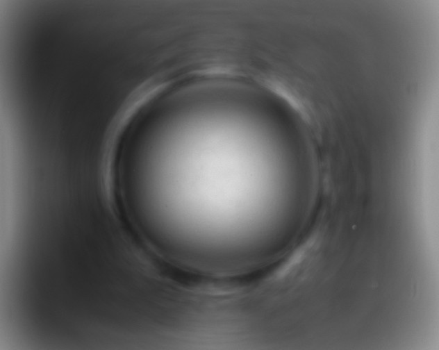 X0000092310199200709211255