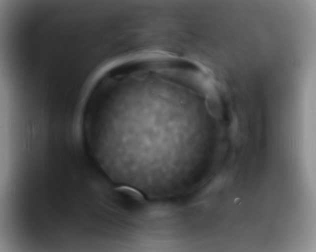 X0000092310200200709211255