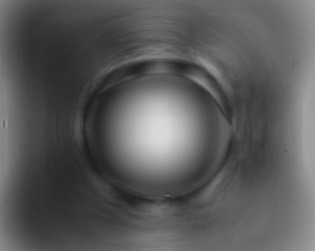 X0000092310201200709211255
