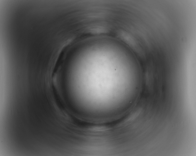 X0000092310202200709211255