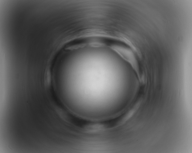 X0000092310205200709211255