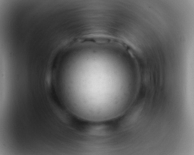 X0000092310206200709211255