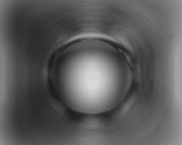 X0000092310207200709211255