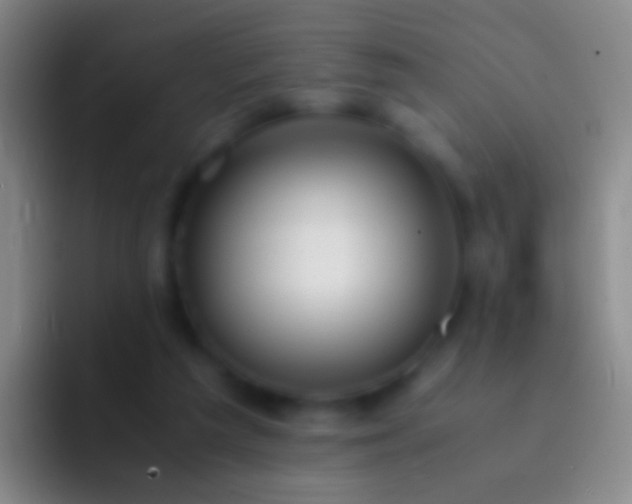 X0000092310209200709211255