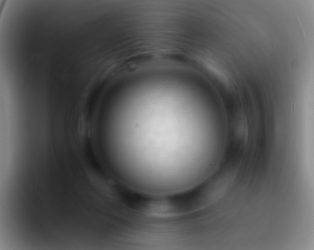 X0000092310214200709211255