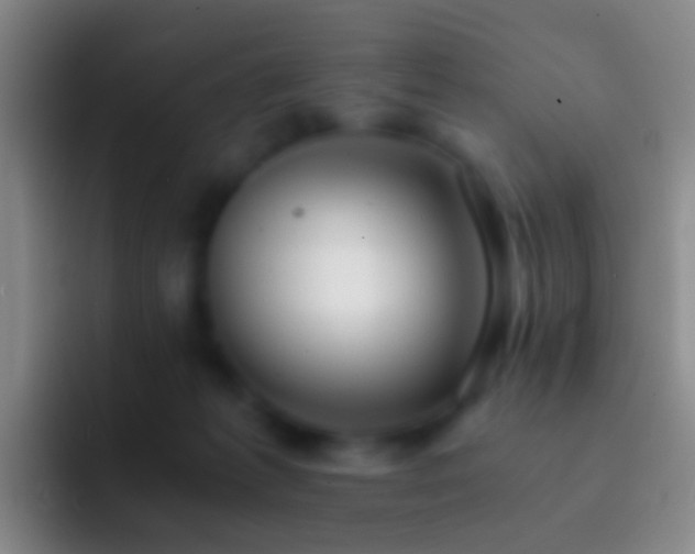 X0000092310221200709211255