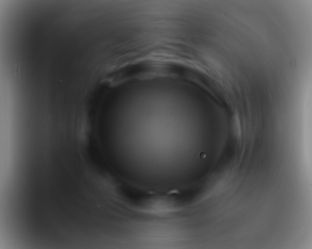 X0000092310223200709211255