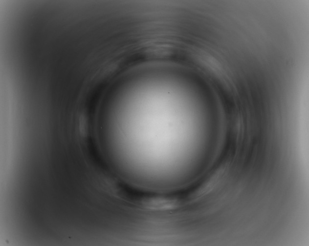 X0000092310224200709211255