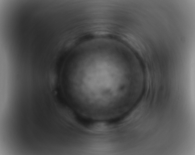 X0000092310227200709211255
