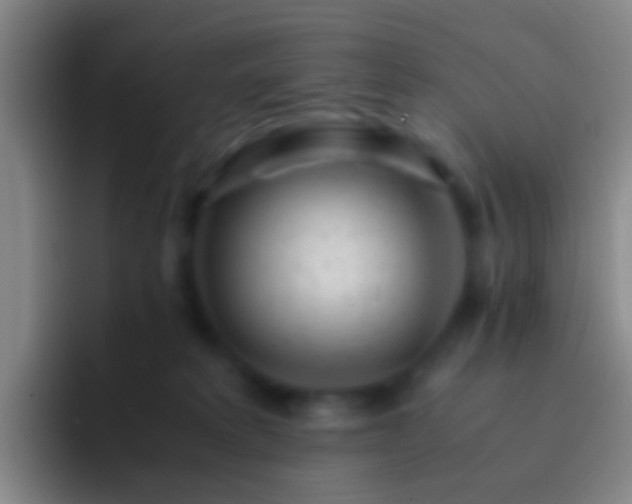 X0000092310229200709211255
