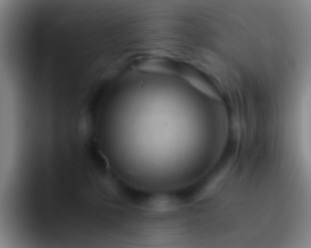 X0000092310231200709211255