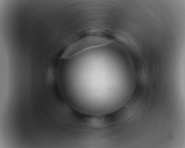X0000092310232200709211255