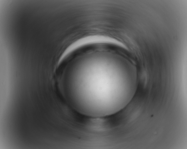 X0000092310233200709211255