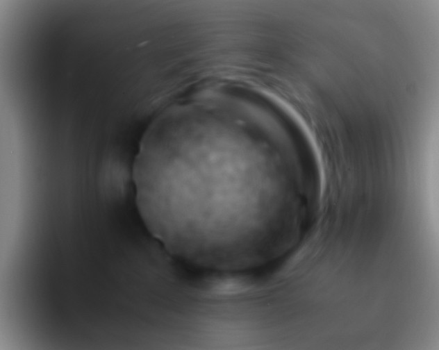 X0000092310235200709211255