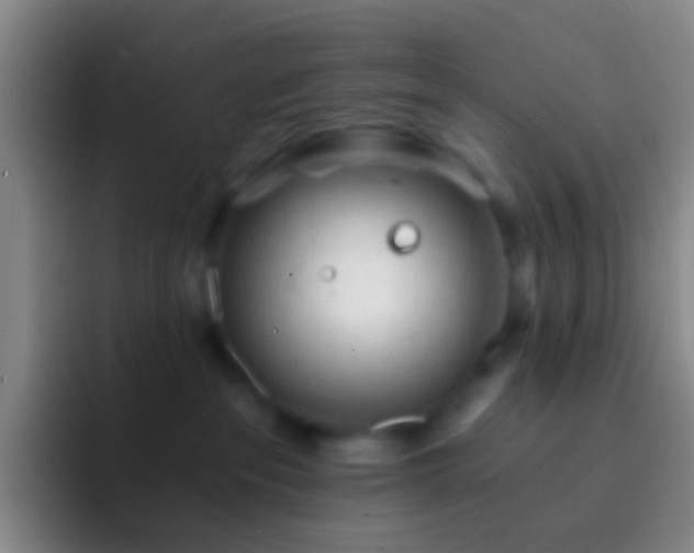 X0000092310237200709211255