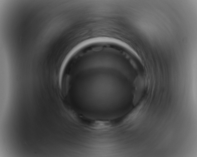 X0000092310239200709211255