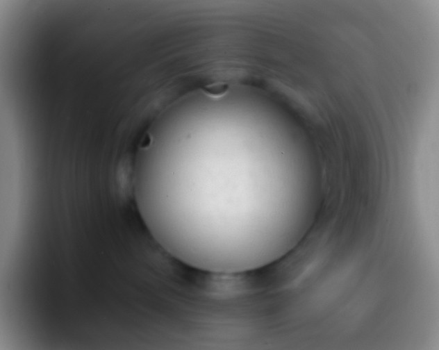 X0000092310240200709211255
