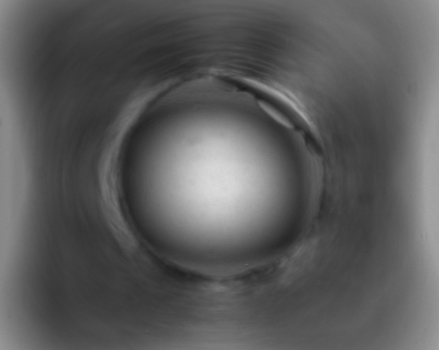 X0000092310241200709211254