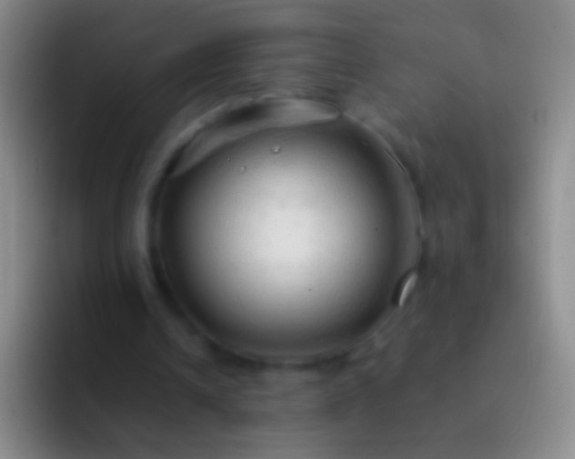 X0000092310242200709211254