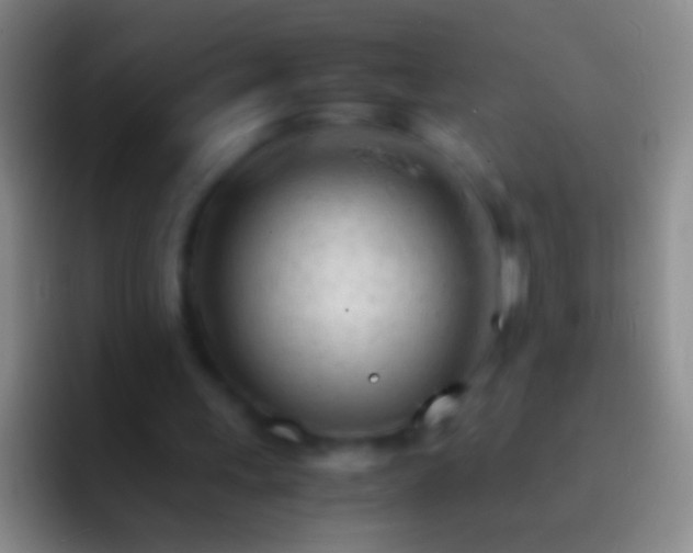 X0000092310243200709211254