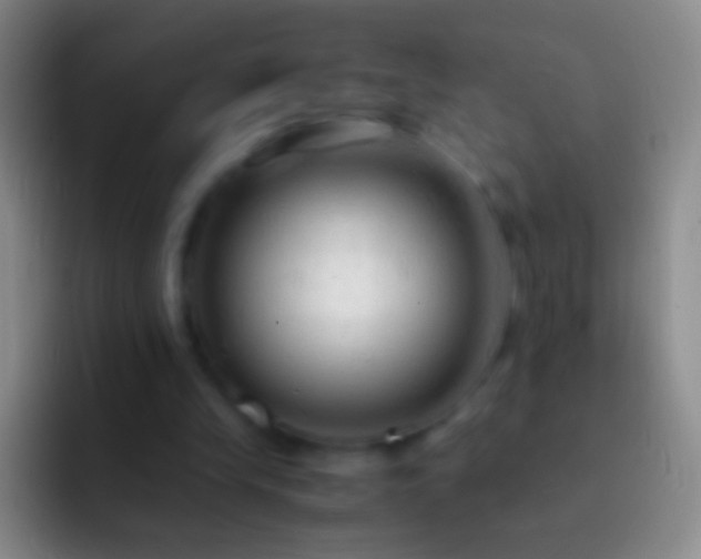 X0000092310245200709211254